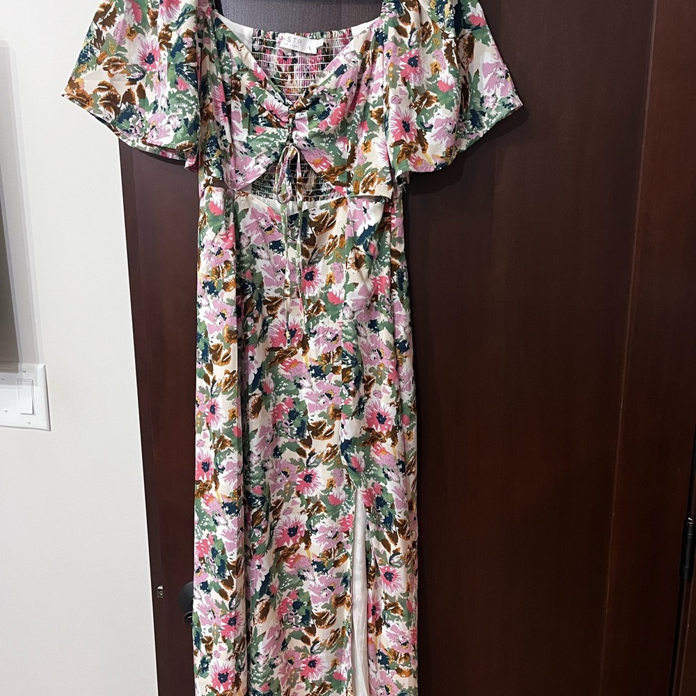 NWT Astr Floral Maxi Dress with Pink and Green Tones